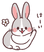 Netherland Dwarf sticker #15669143
