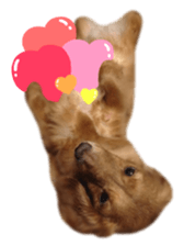 tsubaki&arashi sticker #15669659