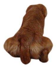 tsubaki&arashi sticker #15669660