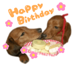 tsubaki&arashi sticker #15669661