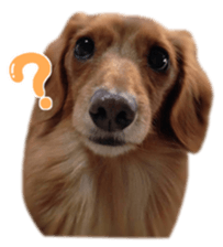 tsubaki&arashi sticker #15669663