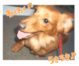 tsubaki&arashi sticker #15669665