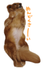 tsubaki&arashi sticker #15669666