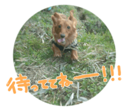 tsubaki&arashi sticker #15669671
