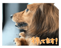 tsubaki&arashi sticker #15669672