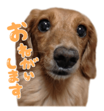 tsubaki&arashi sticker #15669673