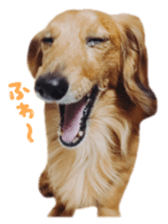 tsubaki&arashi sticker #15669674