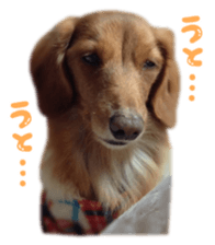 tsubaki&arashi sticker #15669675