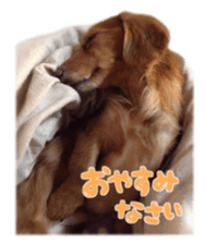 tsubaki&arashi sticker #15669676