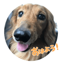 tsubaki&arashi sticker #15669677