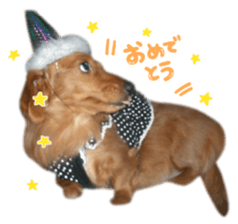 tsubaki&arashi sticker #15669678