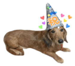 tsubaki&arashi sticker #15669679