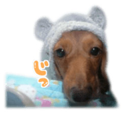 tsubaki&arashi sticker #15669680