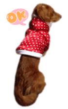 tsubaki&arashi sticker #15669683