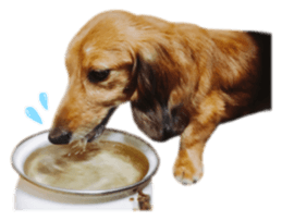 tsubaki&arashi sticker #15669685