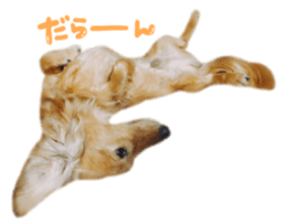 tsubaki&arashi sticker #15669686