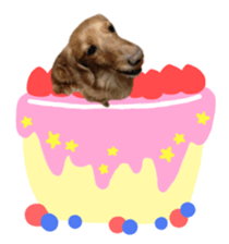 tsubaki&arashi sticker #15669687