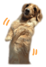 tsubaki&arashi sticker #15669689