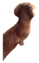 tsubaki&arashi sticker #15669690