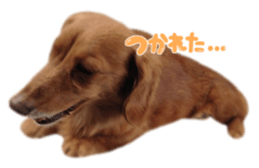 tsubaki&arashi sticker #15669691