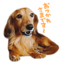 tsubaki&arashi sticker #15669692