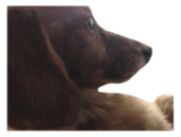 tsubaki&arashi sticker #15669693