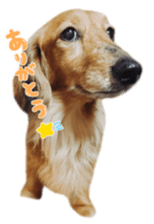 tsubaki&arashi sticker #15669695