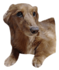 tsubaki&arashi sticker #15669696