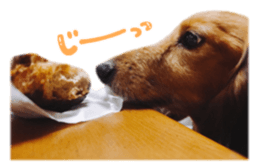 tsubaki&arashi sticker #15669697