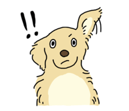 Cute Golden Retriever Sticker sticker #15670120