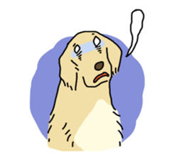 Cute Golden Retriever Sticker sticker #15670123