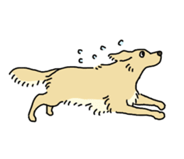 Cute Golden Retriever Sticker sticker #15670126