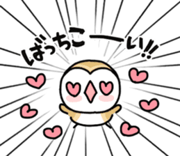 Mamefuku of barn owl9 sticker #15670604