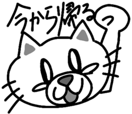 shiro -Japanese cat- sticker #15671437