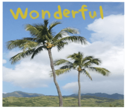 The second memorial in Hawaii sticker #15673917