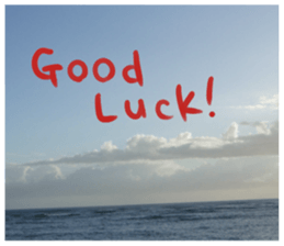 The second memorial in Hawaii sticker #15673920