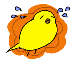 kotori (yellow bird) sticker #15675202