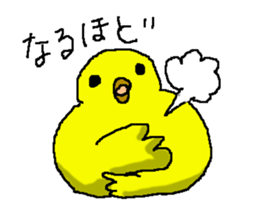 kotori (yellow bird) sticker #15675236