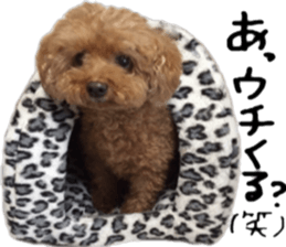 Poodle Sticker Choco sticker #15677830