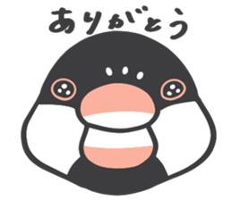 Java sparrow and budgie (Japanese) sticker #15681338