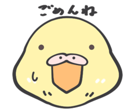 Java sparrow and budgie (Japanese) sticker #15681339