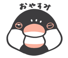 Java sparrow and budgie (Japanese) sticker #15681340