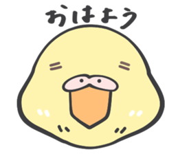 Java sparrow and budgie (Japanese) sticker #15681341
