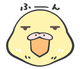 Java sparrow and budgie (Japanese) sticker #15681344