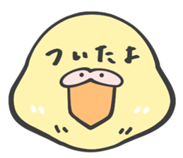 Java sparrow and budgie (Japanese) sticker #15681347