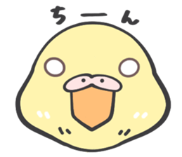 Java sparrow and budgie (Japanese) sticker #15681349