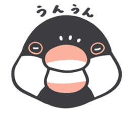Java sparrow and budgie (Japanese) sticker #15681351