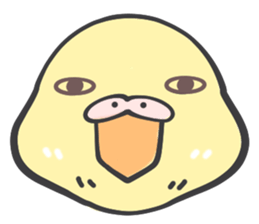 Java sparrow and budgie (Japanese) sticker #15681356