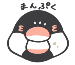 Java sparrow and budgie (Japanese) sticker #15681357