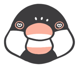 Java sparrow and budgie (Japanese) sticker #15681358